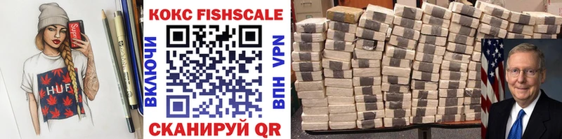 Cocaine FishScale  Купить закладки  Отрадный 