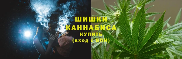 сатива Богородск