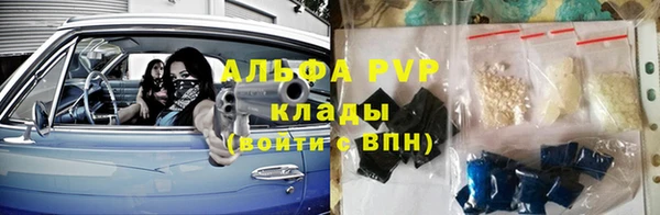 сатива Богородск