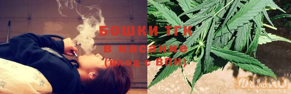 сатива Богородск