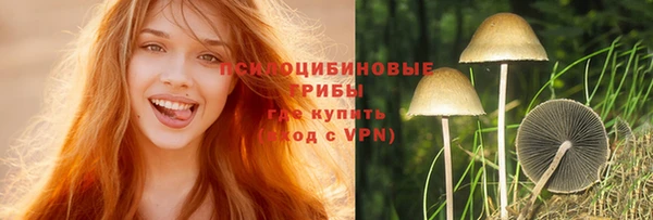 мдма Богданович