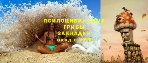 мдма Богданович