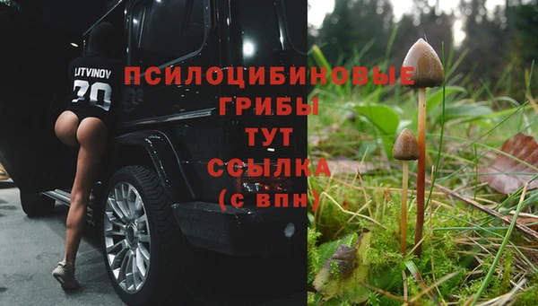 мдма Богданович
