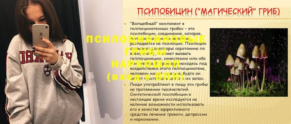 мдма Богданович