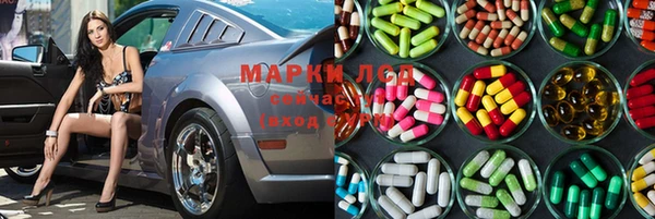 дживик Бородино