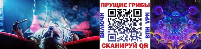 Псилоцибиновые грибы ЛСД  Купить закладки  Отрадный 