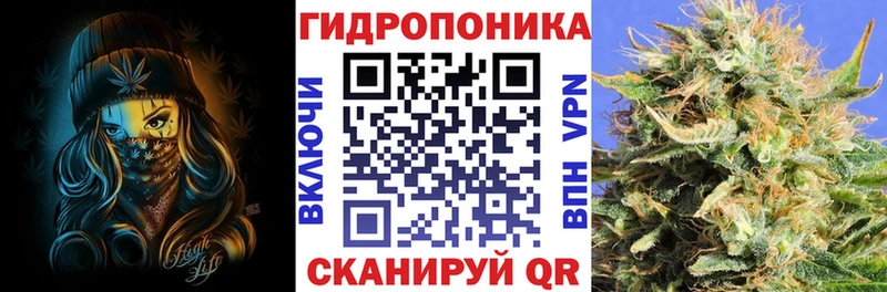 МАРИХУАНА ГИДРОПОН  Купить где  Отрадный 